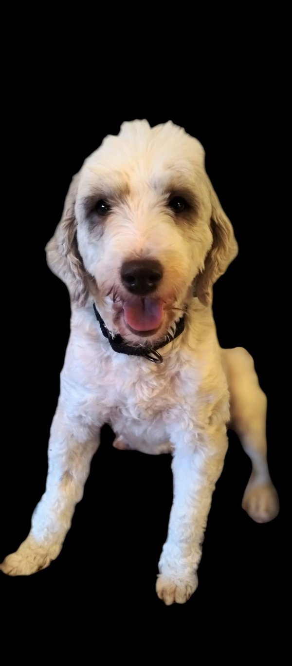 Lost Other in Kulpmont, PA