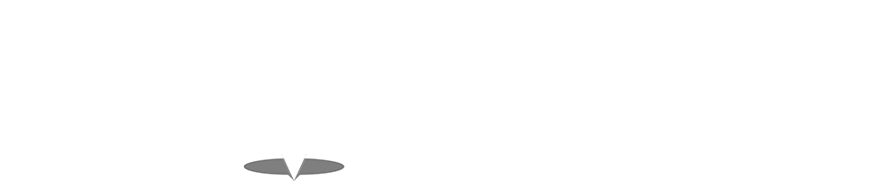 Fido Finder - Where Lost Dogs Are Found